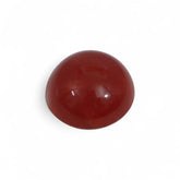 Coral - लाल मूंगा (Laal Moonga) | 6.1 ct from Japan | Certified Loose Gemstone for Astrology & Jewelry